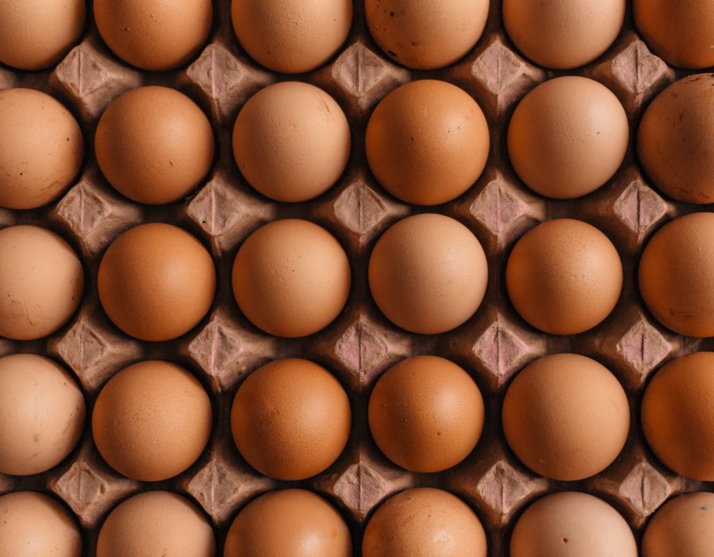 scatola uova