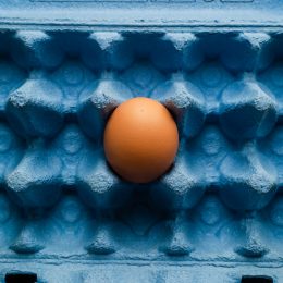 scatola uova azzurre