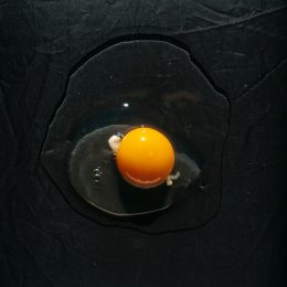uovo crudo fondo nero