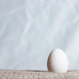 uovo fondo bianco